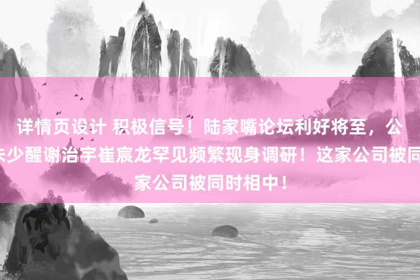 详情页设计 积极信号！陆家嘴论坛利好将至，公募顶流朱少醒谢治宇崔宸龙罕见频繁现身调研！这家公司被同时相中！