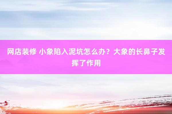 网店装修 小象陷入泥坑怎么办？大象的长鼻子发挥了作用