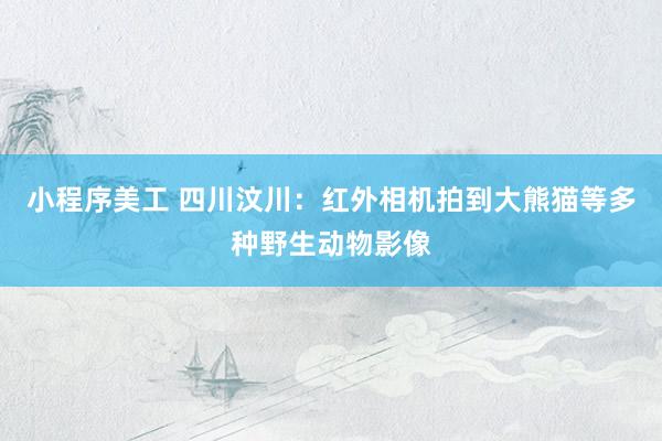 小程序美工 四川汶川：红外相机拍到大熊猫等多种野生动物影像