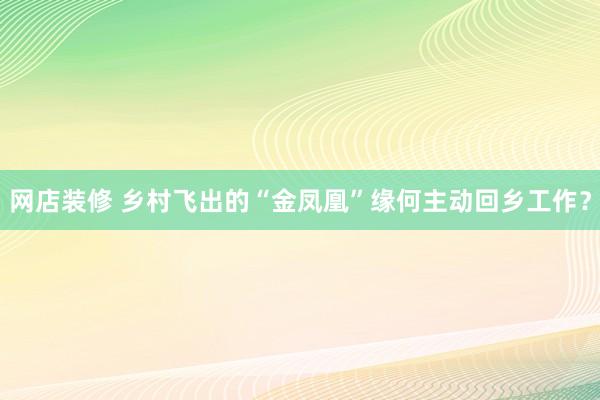 网店装修 乡村飞出的“金凤凰”缘何主动回乡工作？