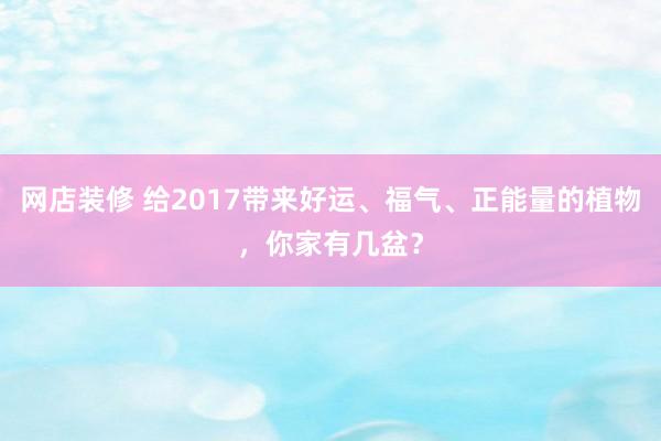 网店装修 给2017带来好运、福气、正能量的植物，你家有几盆？